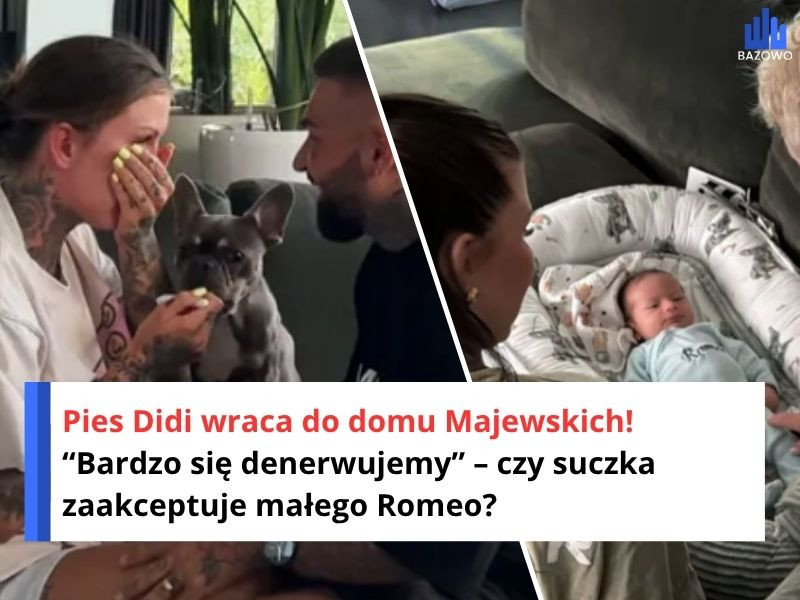 Pies Didi wraca do domu Majewskich! “Bardzo się denerwujemy” – czy suczka zaakceptuje małego Romeo?